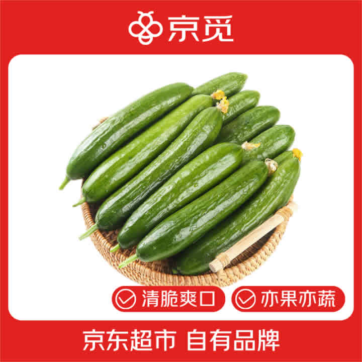 京觅 山东荷兰水果黄瓜净重4斤