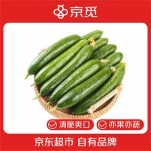 京觅 山东荷兰水果黄瓜净重4斤