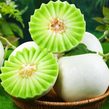京觅 山东玉菇冰淇淋甜瓜 净重4.5-5斤 单果900g起