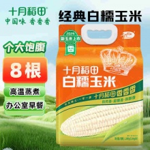 十月稻田 白糯玉米 4.16斤(260g*8根) 