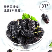 宁安堡 桑葚干250g*2袋 