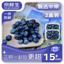  京鲜生 云南蓝莓 2盒15mm+装 125g/盒