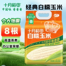 十月稻田 白糯玉米 4.16斤(260g*8根)