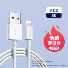 罗马仕 iPhone数据线1m