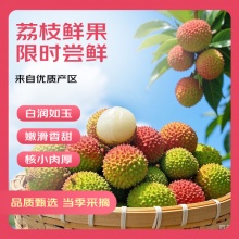 京鲜生 海南妃子笑荔枝净重5斤装 单果18g+ 