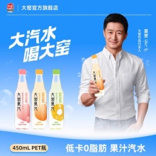大窑 果汽450ml*9瓶