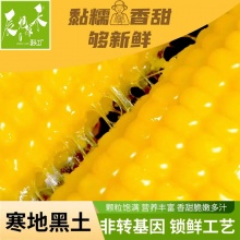 辰旭稼禾 东北黄糯玉米250g*8根