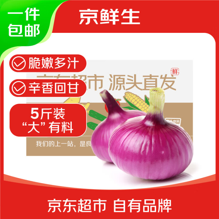京鲜生 河南紫皮洋葱带皮净重5斤 单果300g+