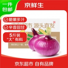 京鲜生 河南紫皮洋葱带皮净重5斤 单果300g+