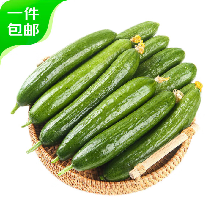 京鲜生 山东荷兰水果黄瓜净重5斤 单果100g+