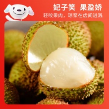 京鲜生 广东妃子笑荔枝 净重4.5斤 单果20g+