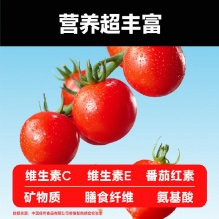 一颗大 串收樱桃番茄1kg
