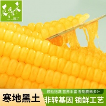 辰旭稼禾 东北玉米10根 220-260g /根