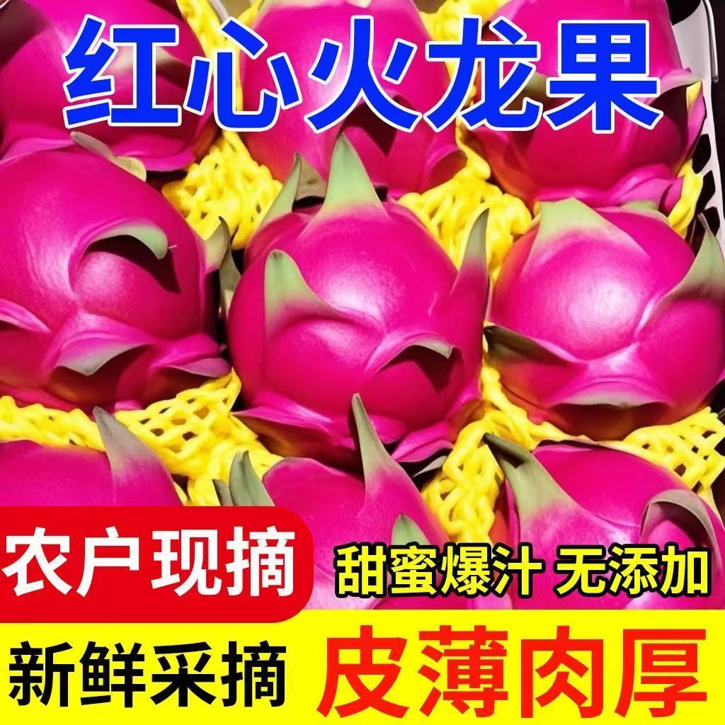 湛江 红心火龙果大果300g以上5斤