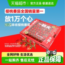 一颗大  玲珑串番茄1kg