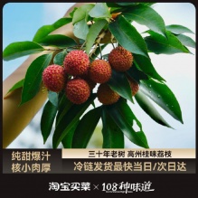 广东高州带枝采摘高甜度老树桂味荔枝礼盒4.5斤装 单果16g+