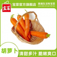 宝菜 新鲜胡萝卜净重8.8-9.1斤
