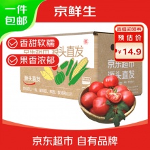京鲜生 山东普罗旺斯番茄 净重4.5斤 单果125g+ 