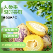 京鲜生 甘肃人参果 净重3斤 单果100g+