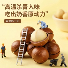 华味亨 夏威夷果250g*2袋/100g*5袋