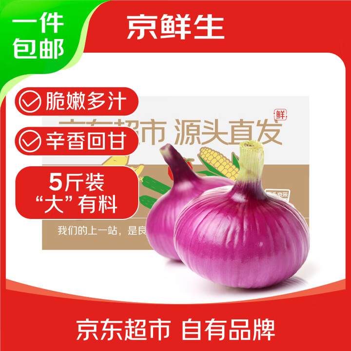 京鲜生 河南紫皮洋葱带皮 净重5斤 单果300g+ 