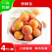 京鲜生 新疆吊干杏 净重4斤 单果12g+