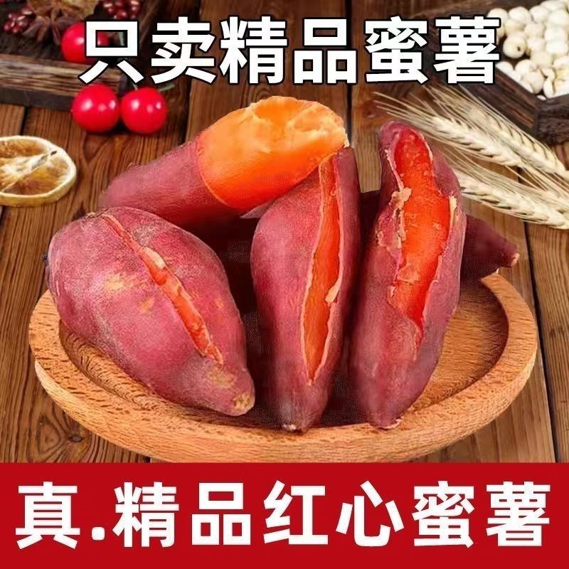 河南龙九 沙地蜜薯5斤