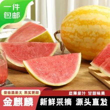 京鲜生 奶香金珠蜜麟金麒麟西瓜 1粒装 净重5-7斤