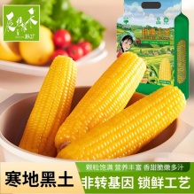 辰旭稼禾 东北黄糯玉米8支*250-280g