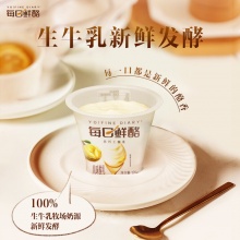 蒙牛 每日鲜酪高端系列酸奶 125g×6杯
