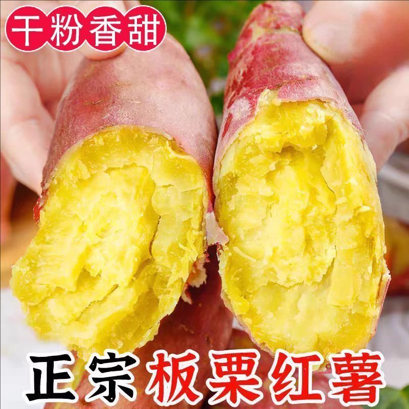陕西 板栗红薯整箱5斤净重4.5斤