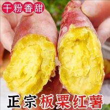 陕西 板栗红薯整箱5斤净重4.5斤