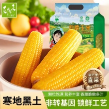辰旭稼禾 东北黄糯玉米220-260g*8支