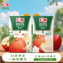汇源 100%果汁 苹果汁 750ml*2盒