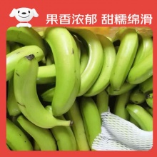 京鲜生 广西高山绿皮甜香蕉 净重3斤 单根套网100g+